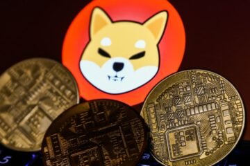 Should you buy Shiba Now