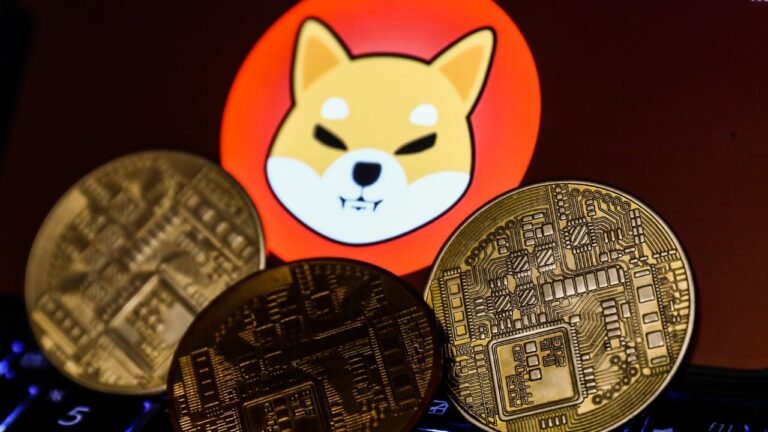 Should you buy Shiba Now